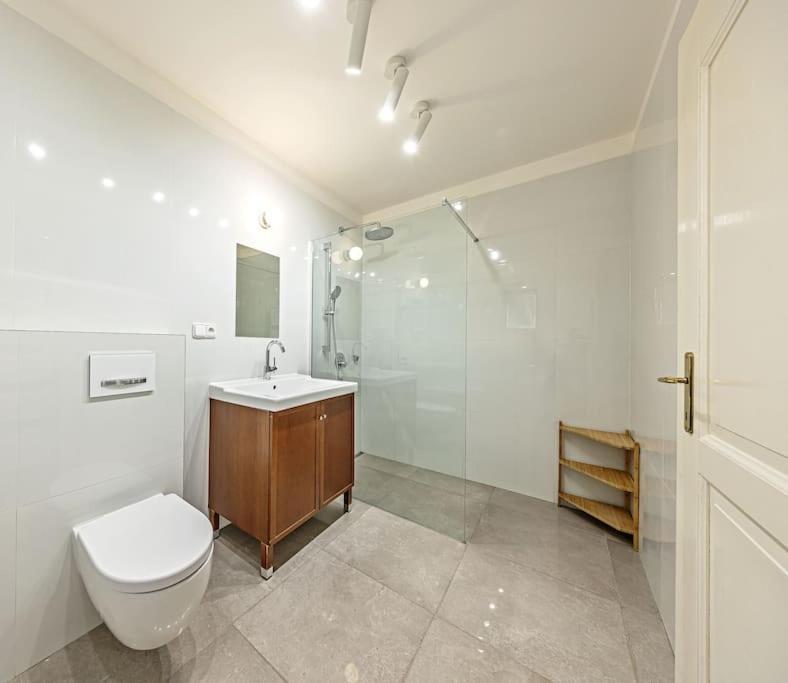 Center Wenceslas Square Old Town Apartment Prague